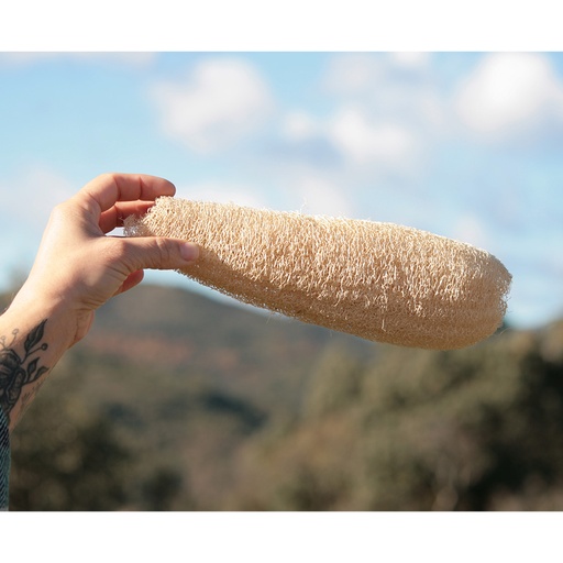 Esponja - Estropajo natural luffa